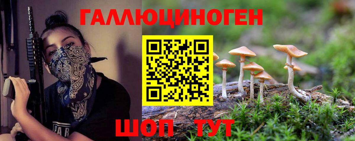 Галлюциногенные грибы GOLDEN TEACHER Красноармейск
