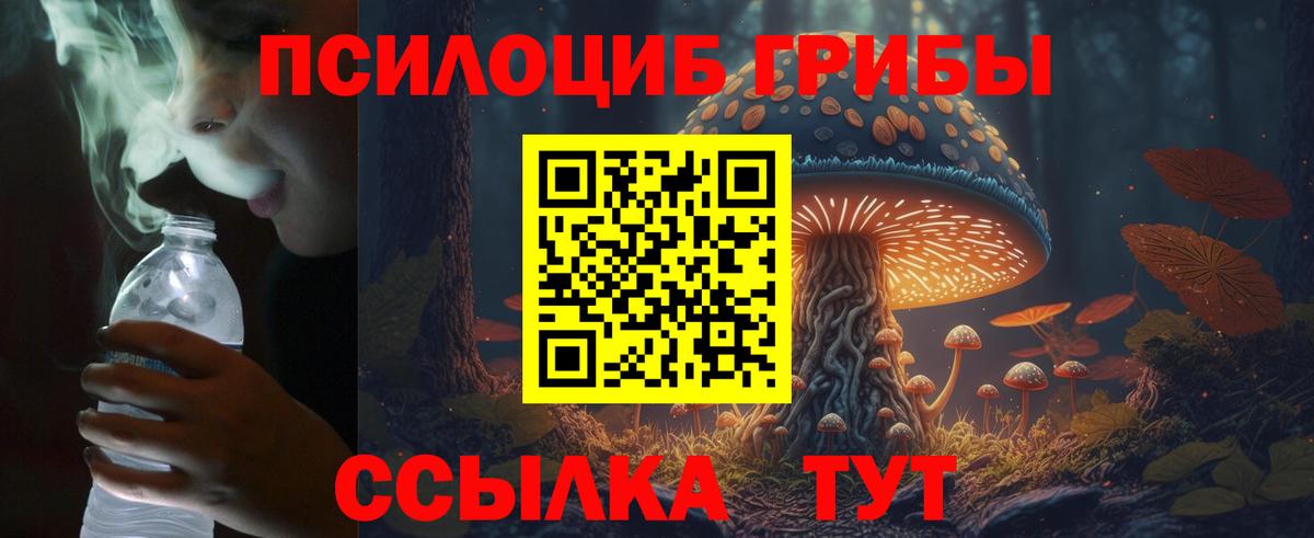 Галлюциногенные грибы прущие грибы  Галлюциногенные грибы Psilocybine cubensis  Красноармейск  Вход с VPN 