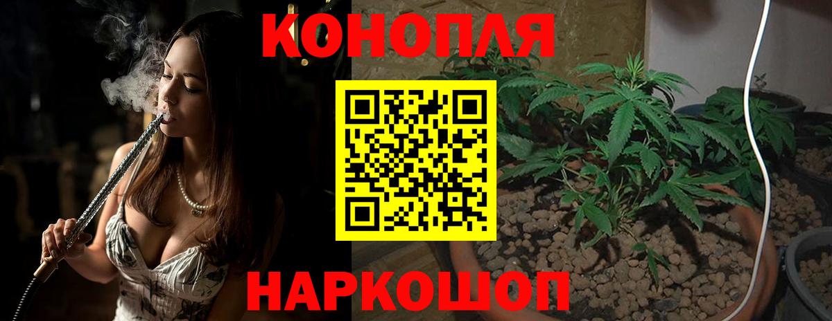 Конопля Amnesia Красноармейск